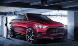 比亚迪高管爆料事件最新,揭秘企业内部真相与争议