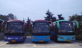 诸暨公交车爆料事件最新